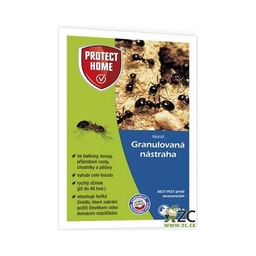 dn-prostor-pro-mravence-tipy-jak-je-vytla-it-z-va-eho-domova